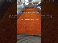 Visita a la línea de producción de EVA